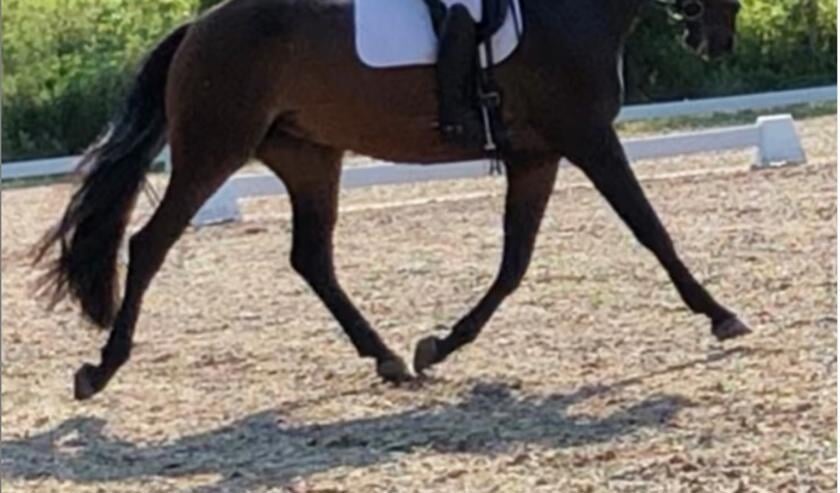 Evelyne Evers met Kontent v | Fotonummer: 333d21