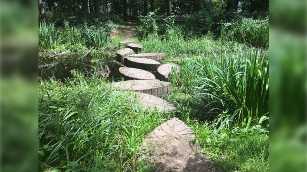 Stepping Stones in Ommerschans