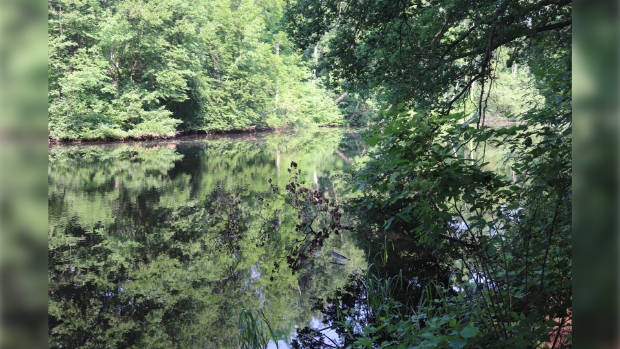 Bastions gracht