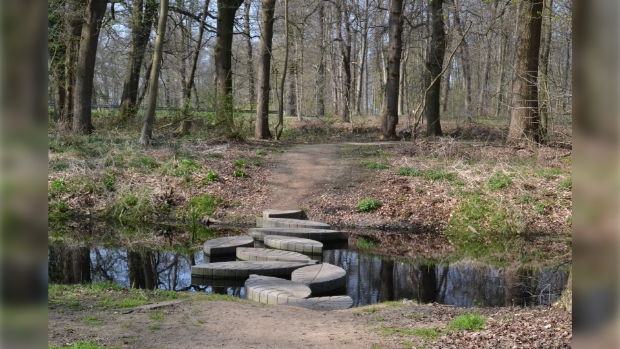 Stepping Stones in Ommerschans