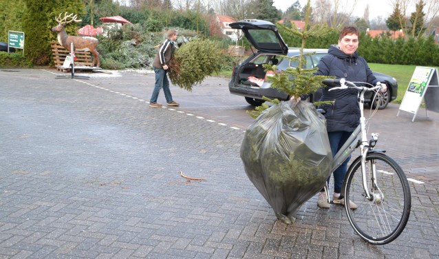 Wie de kerstboom duurzaam wil opruimen kan deze 5 januari inleveren.