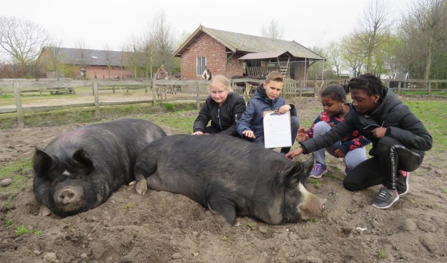 De buitenlesdag van basisschool De Wegwijzer was buitengewoon leerzaam.