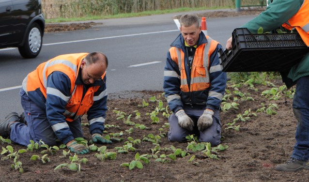 De rol van IBN in Grave wordt anders. (archieffoto: Ingrid Driessen)