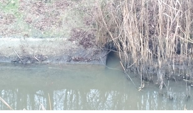 Beverhol bij de Tochtsloot in Gassel. (foto: Aa en Maas)