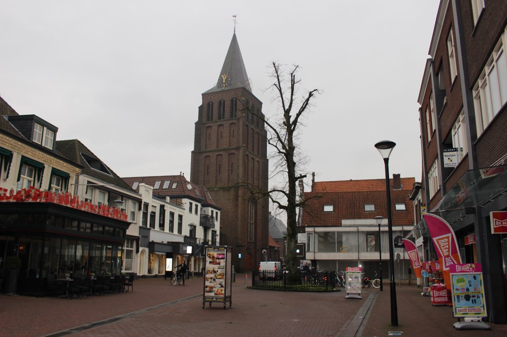 De Wilhelminaboom.