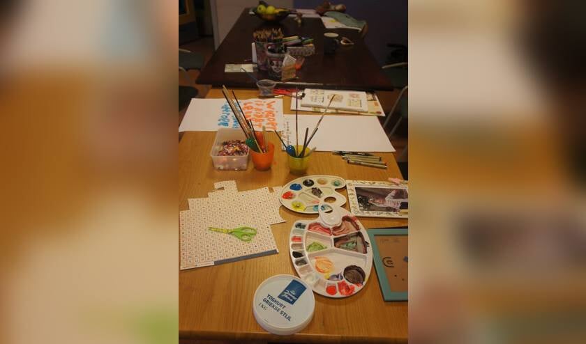 Maaike Janssen is een doneeractie gestart (foto: Facebook Maashorst School)
