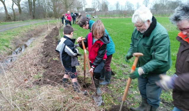 Kinderen hebben maasheggen geplant in Boxmeer