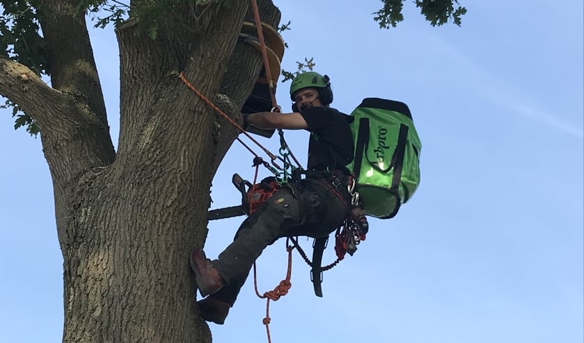 Snoeien, rooien, versnipperen, stormschade en bomen planten. Zowel particulieren als bedrijven kunnen bij Boomverzorging Arie Arts aankloppen voor deze diensten en bijbehorend advies.