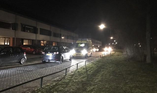 De steekpartij vond plaats op 25 februari in een woning op het Bosven.