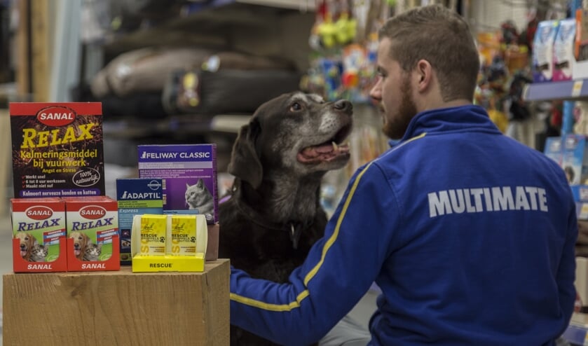 Multimate Gennep heeft producten in het assortiment die het huisdier een minder stressvolle jaarwisseling kunnen bezorgen. "Voor advies staan we klaar", zegt Ingrid Reinten. (foto: Fleur Reinten)