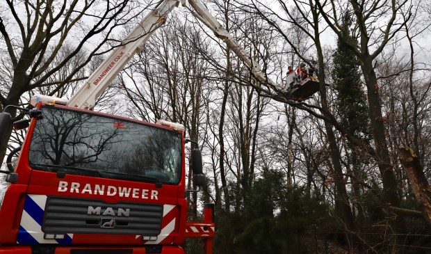 Foto: SK-Media.