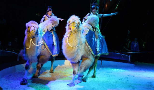 De voorstelling duurt ruim twee uur, waarin alle facetten van het klassieke circus aan bod komen.