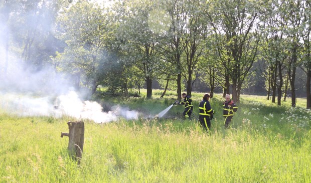 Foto: SK-Media.