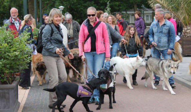 Een eerdere editie van Walk of the Dogs