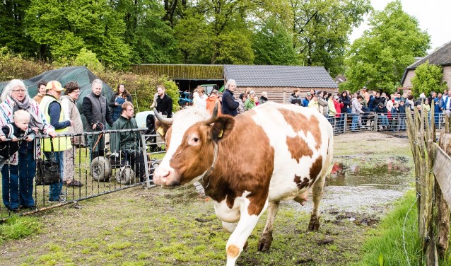 (foto: Marjo Kusters - Marjo's Fotowereld)