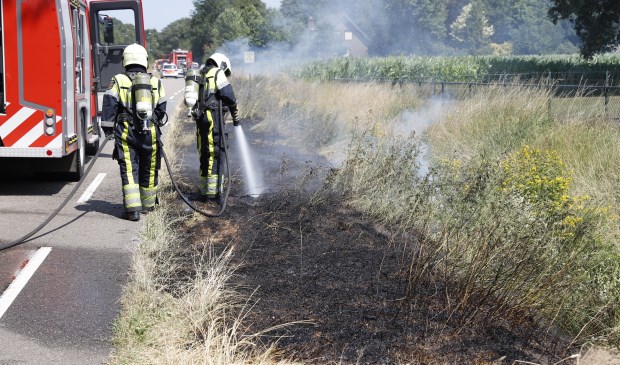 Foto: SK-Media.