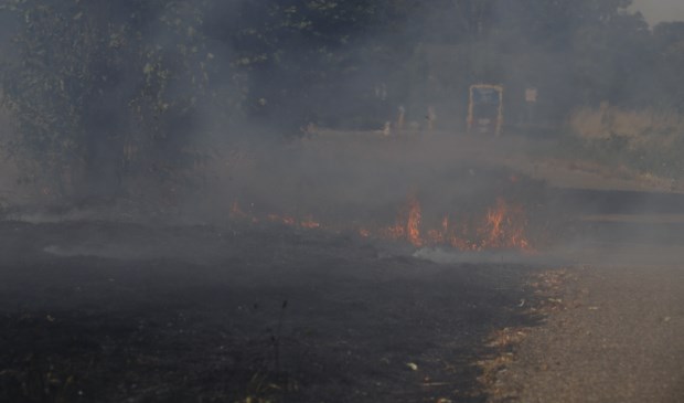 Foto: SK-Media.