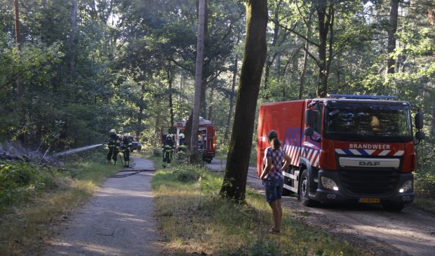 Foto: SK-Media