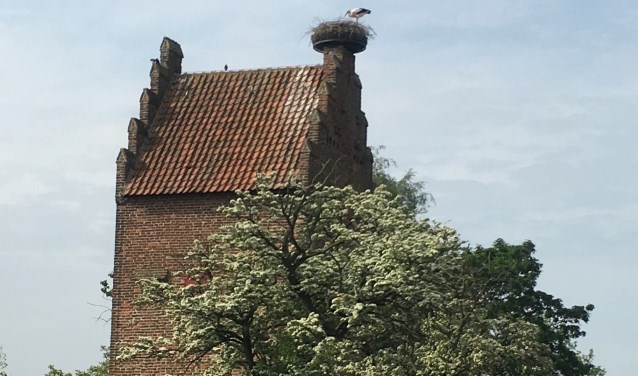 Megen.