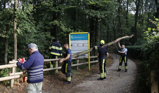 Foto: SK-Media.