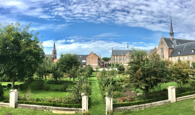 Foto van de week in Megen. (Anja van Vliet)