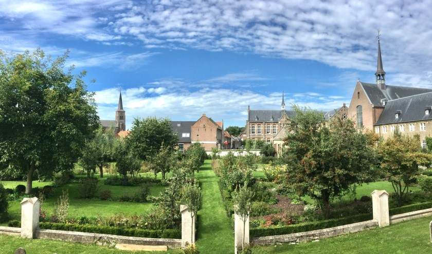 Foto van de week in Megen. (Anja van Vliet)