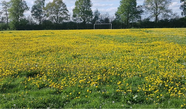 Een leeg veld in Macharen