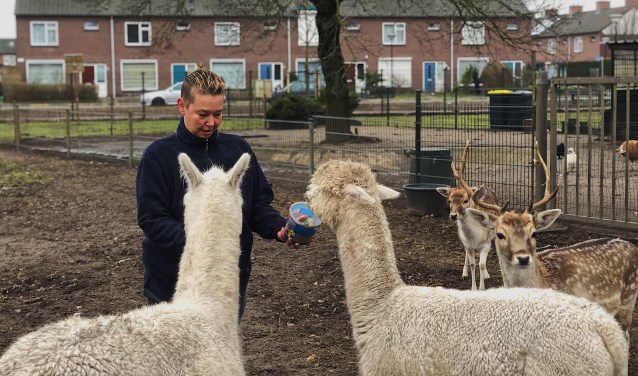 Jolanda Burger is de drijvende kracht achter het dierenparkje in Veghel-Zuid.