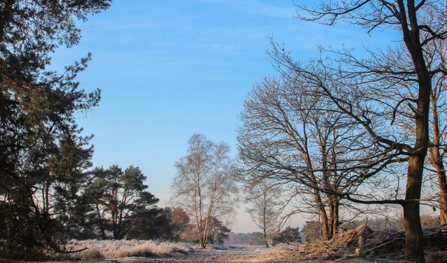 IVN natuurgidsen vertellen onderweg over alles wat je tegenkomt aan natuur