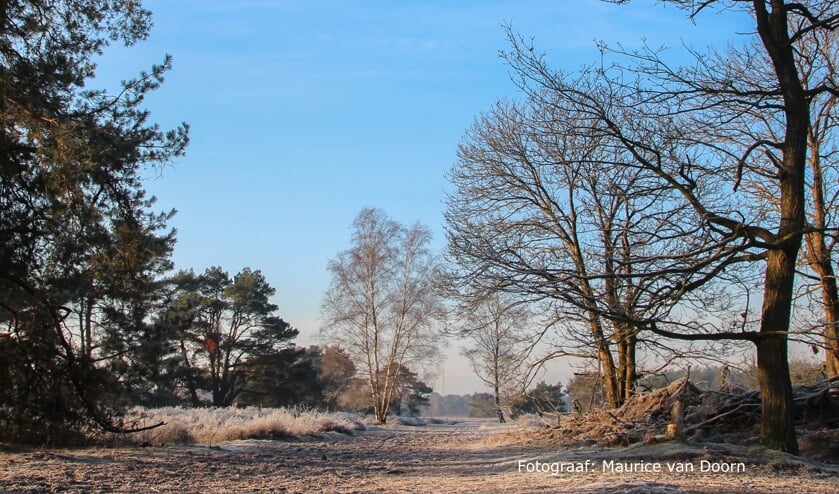 IVN natuurgidsen vertellen onderweg over alles wat je tegenkomt aan natuur