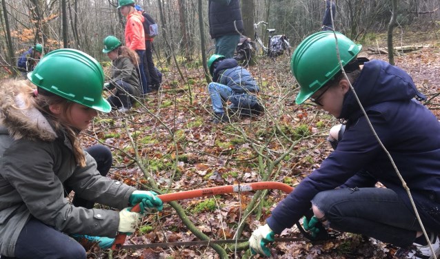 Brugklassers jenaplan Boxmeer steken handen uit de mouwen op de Metameer Doedag vrijdag 15 maart.