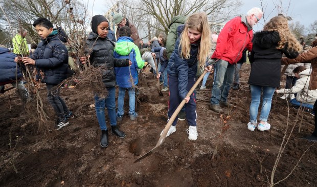 Basisschoolleerlingen planten eerste Tiny Forest in Oss. (Foto: Hans van der Poel)