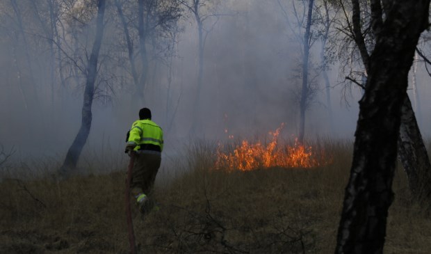 Foto: SK-Media.