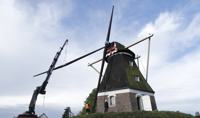 De Mariamolen in Haps krijgt nieuwe wieken. (foto: SK-Media)