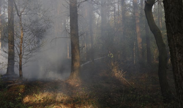 Foto: SK-Media.