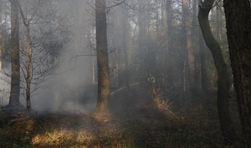 Foto: SK-Media.