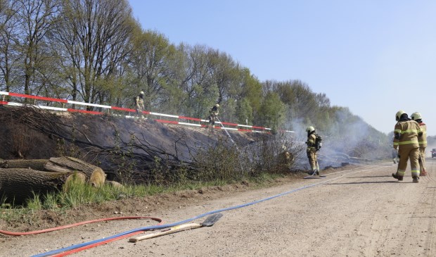 Foto: SK-Media.