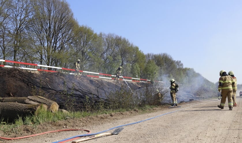Foto: SK-Media.