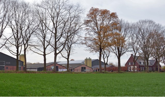 Bens BoerderEi.
