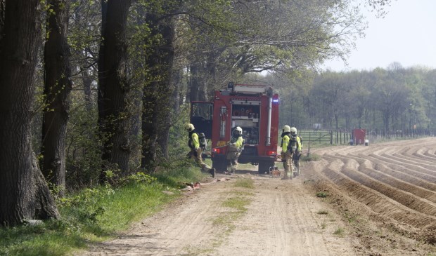 Foto: SK-Media.