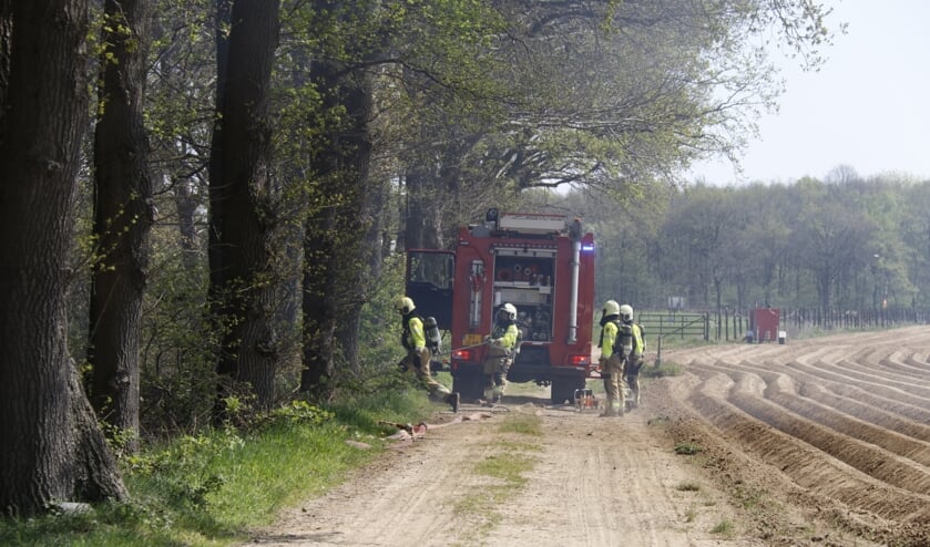 Foto: SK-Media.