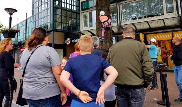 Boomklimmen in het Osse centrum. Foto: Twitter Jack van Lieshout