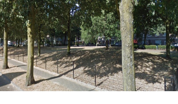 Het parkje van het Kardinaal de Jongplein. (Foto: Google Maps)