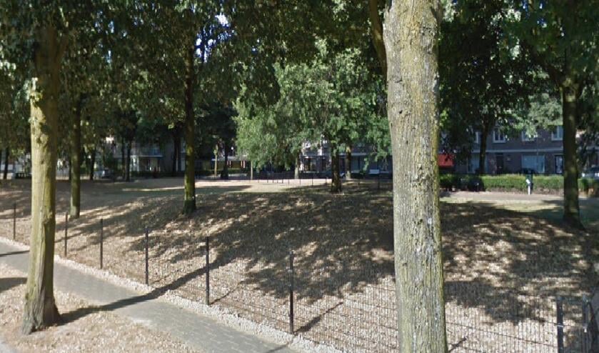 Het parkje van het Kardinaal de Jongplein. (Foto: Google Maps)