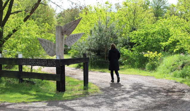 Natuurbegraafplaats Weverslo houdt een open dag; kom ook eens een kijkje nemen! (foto: Aileen van Tilburg)