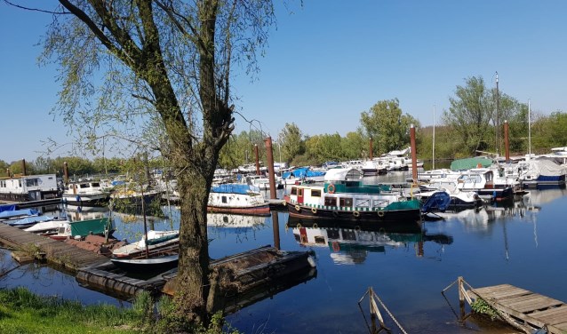 WSV Boxmeer viert het jubileum met een open dag.