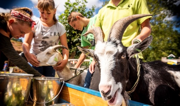 Kinderboerderijdag op NME-centrum en kinderboerderij De Elzenhoek