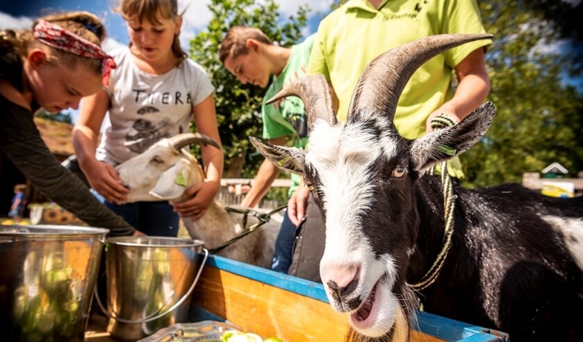 Kinderboerderijdag op NME-centrum en kinderboerderij De Elzenhoek