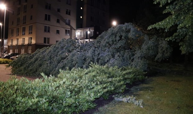 Op de parkeerplaats bij het Ketelhuis in Gennep viel een boom.