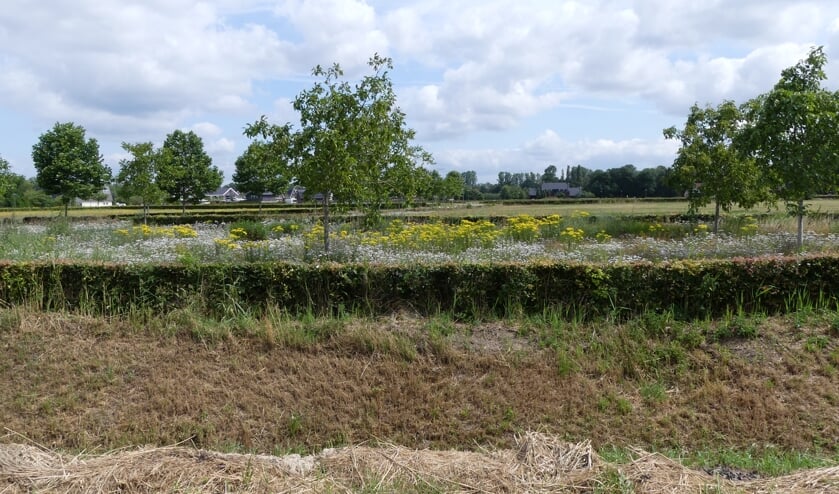 ‘Hoezo hier passen geen sociale huurwoningen?’…